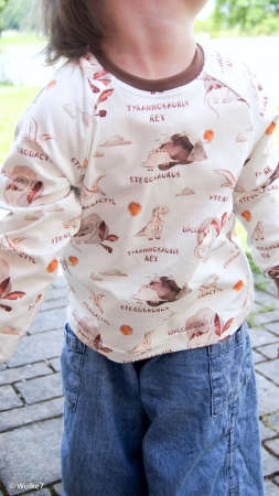 Jersey - Lima - Dinosaurier - Namen - weiss